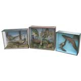 victorian shadow boxes Antique victorian shadow boxes