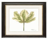 Kelly Cutter Tulip Prints