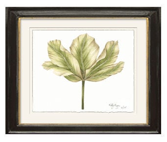 Kelly Cutter Tulip Prints For Sale