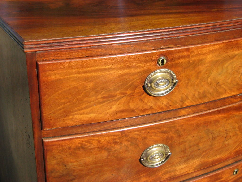 Mahogany, bowfront five-drawer chest with brass hardware.