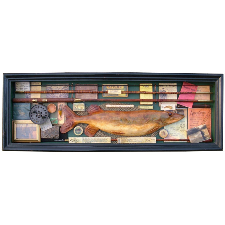 Fish Shadow Box For Sale