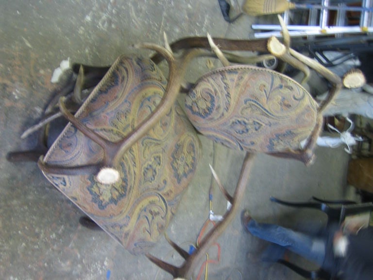 French Fauteuil style Antler Chair .