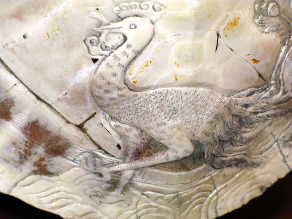 Backlit Hand-Carved Turtle Shell in Metal Base by Karl Springer