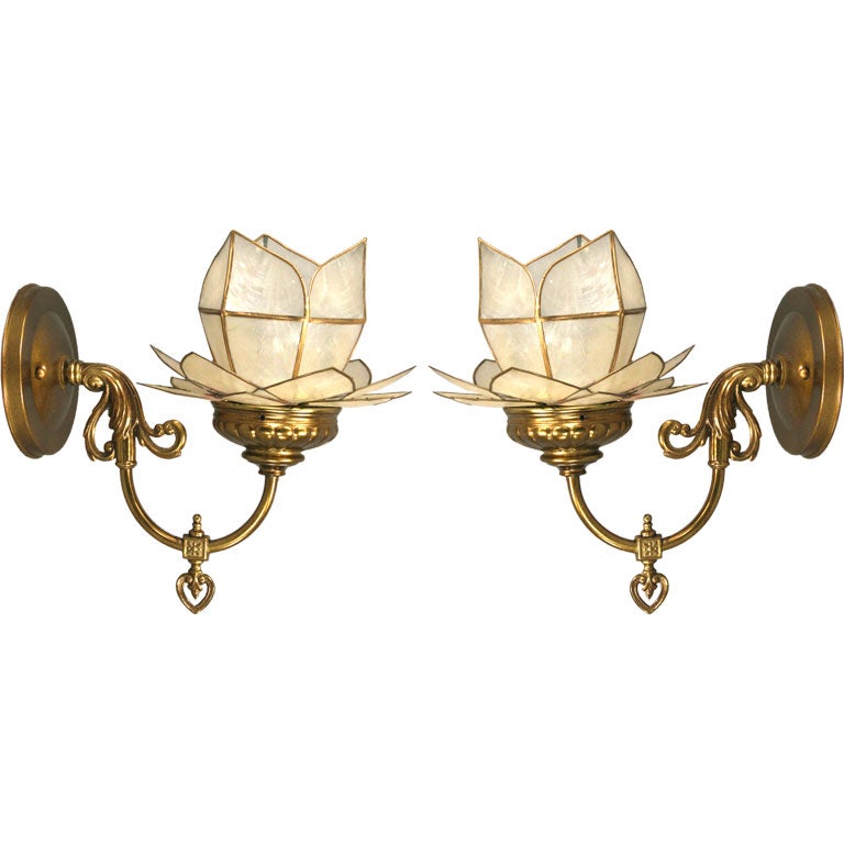 Pair Capiz Shell Tulip Sconce