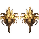 Pair  Oversized Sculptural  Italian  sconces