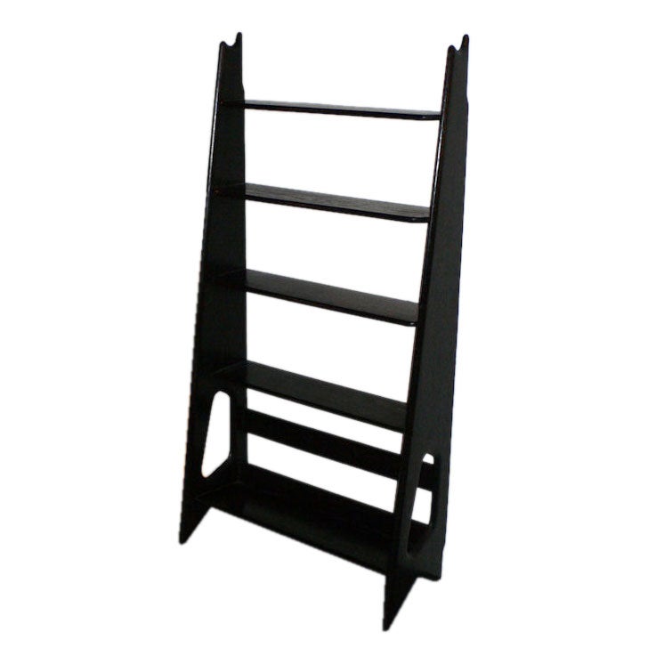 Ebonized Shelves by Pierre Cruege