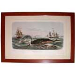 Rare Lithograph by Lebreton 1