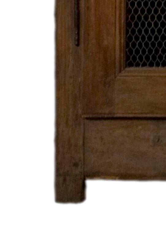 19th Century ARMOIRE WITH CHICKEN WIRE