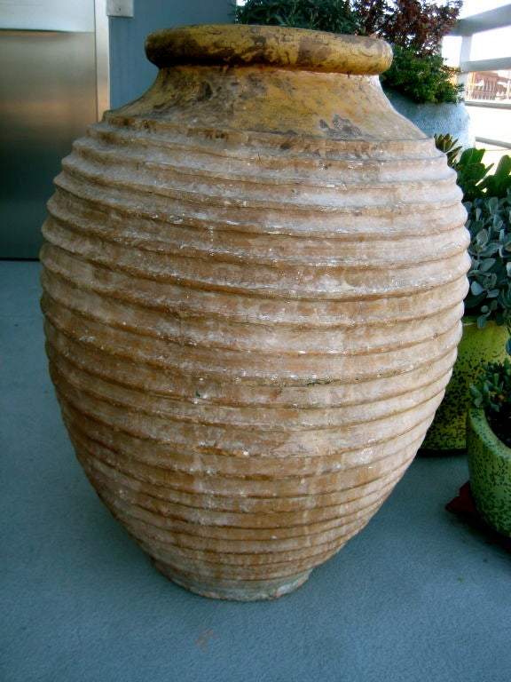 Huge Terracotta Olive Jar