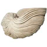Whitewashed Carved Wood Shell