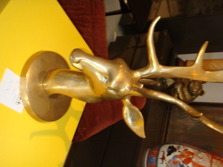 Brass Deer "Stag" Bust
