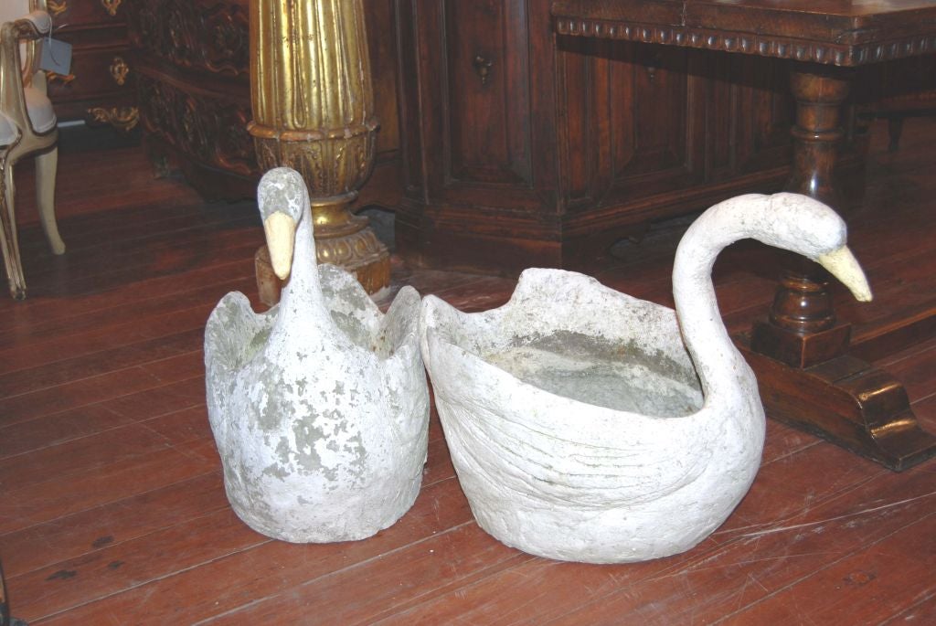 French Pair Concrete Swans
