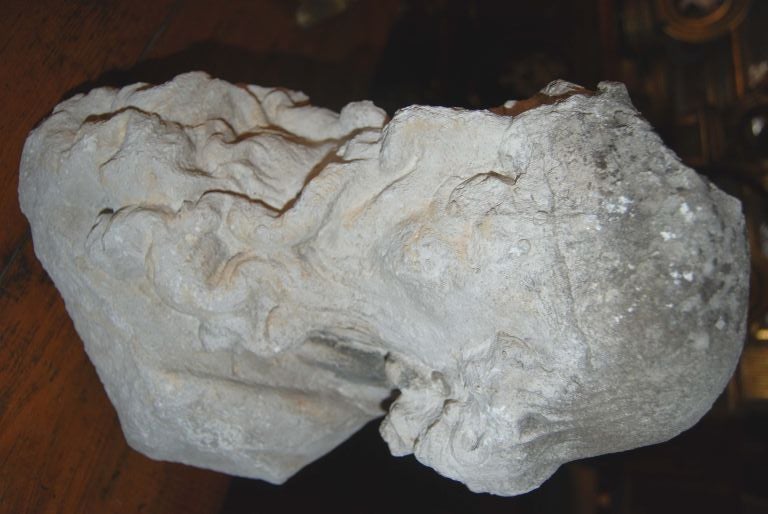 16th c. Stone Head