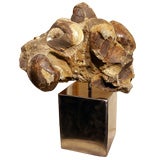 Large Shell Fossil Matrix on Steel Stand