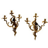 Antique Pair of French Louis XV Style Ormolu / Bronze Sconces
