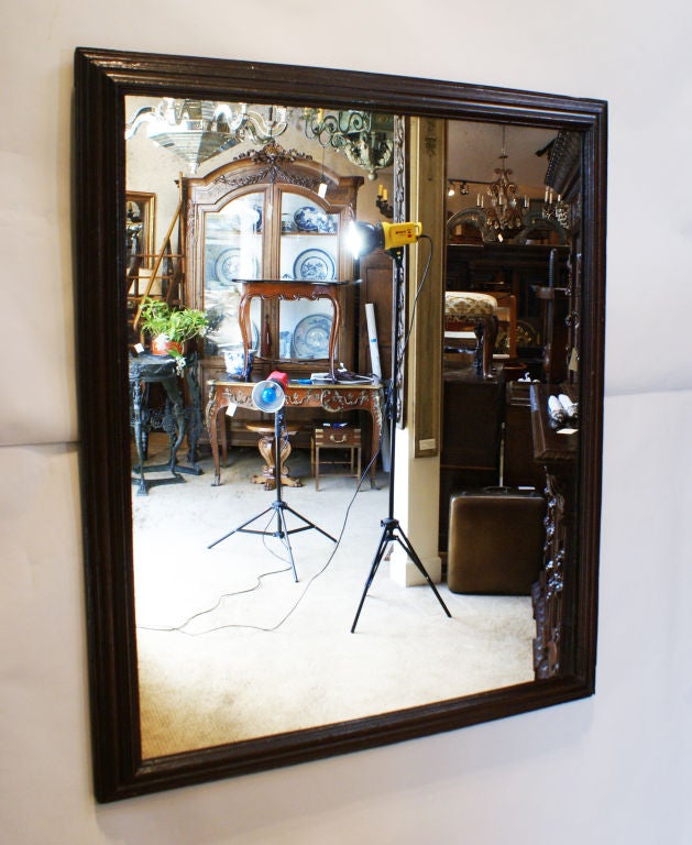 Large Baroque Faux Ebony Mirror
