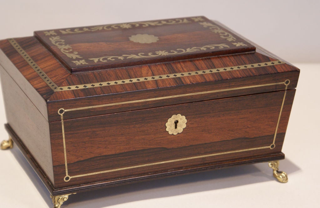 Regency Rosewood Tea Caddy` / Jewel Box