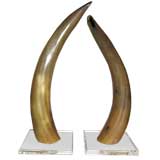 SET OF THREE AFRICAN BUFFALO HORNS