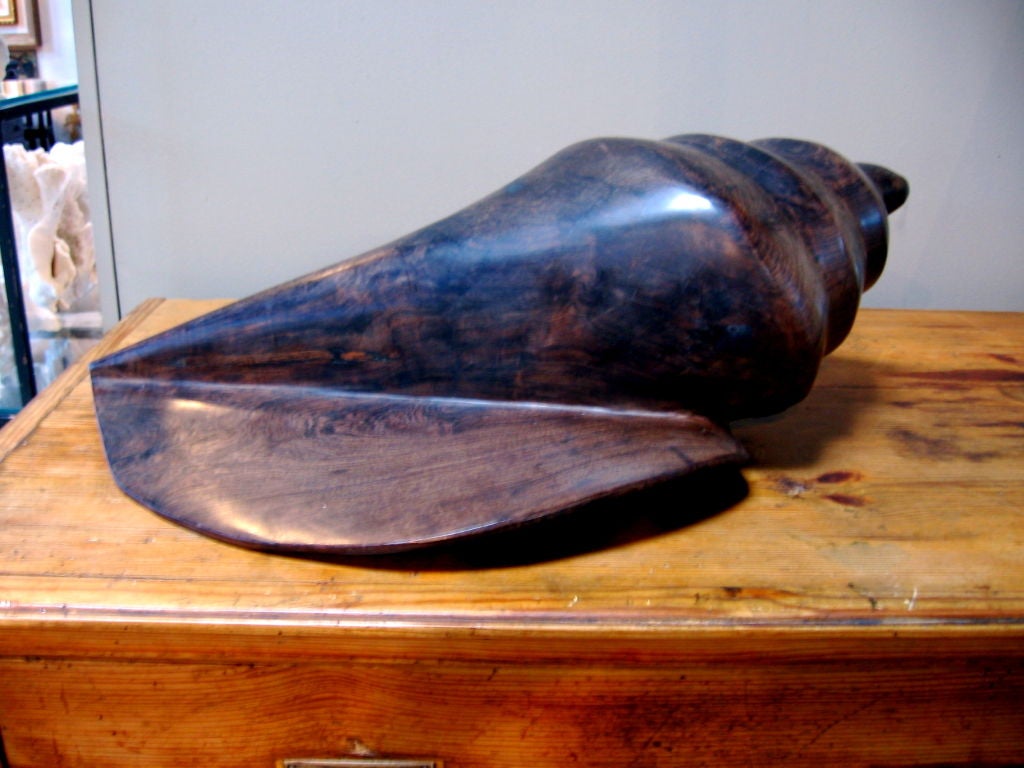Wood LARGE WOODEN SCULPTURE OF CONCH SHELL