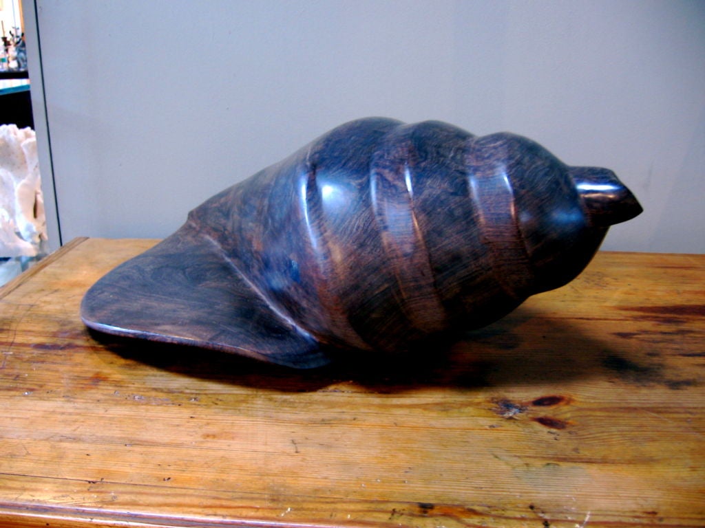 20th Century LARGE WOODEN SCULPTURE OF CONCH SHELL