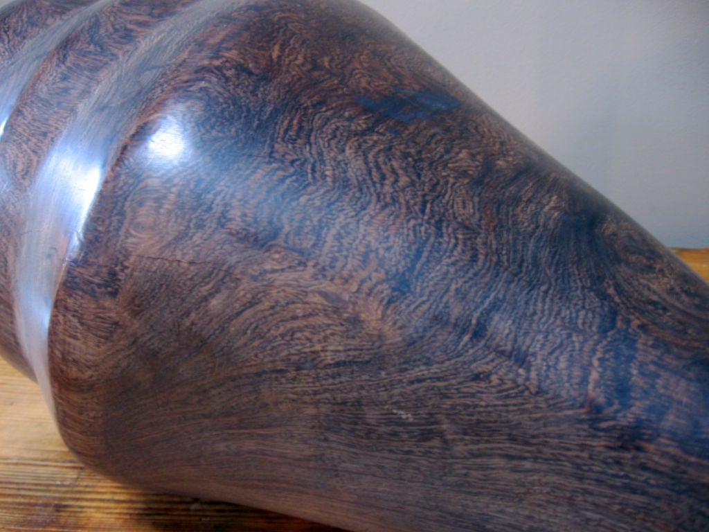 All wood interpretation of a conch shell.  Beautifully grained wood with very smooth surface.