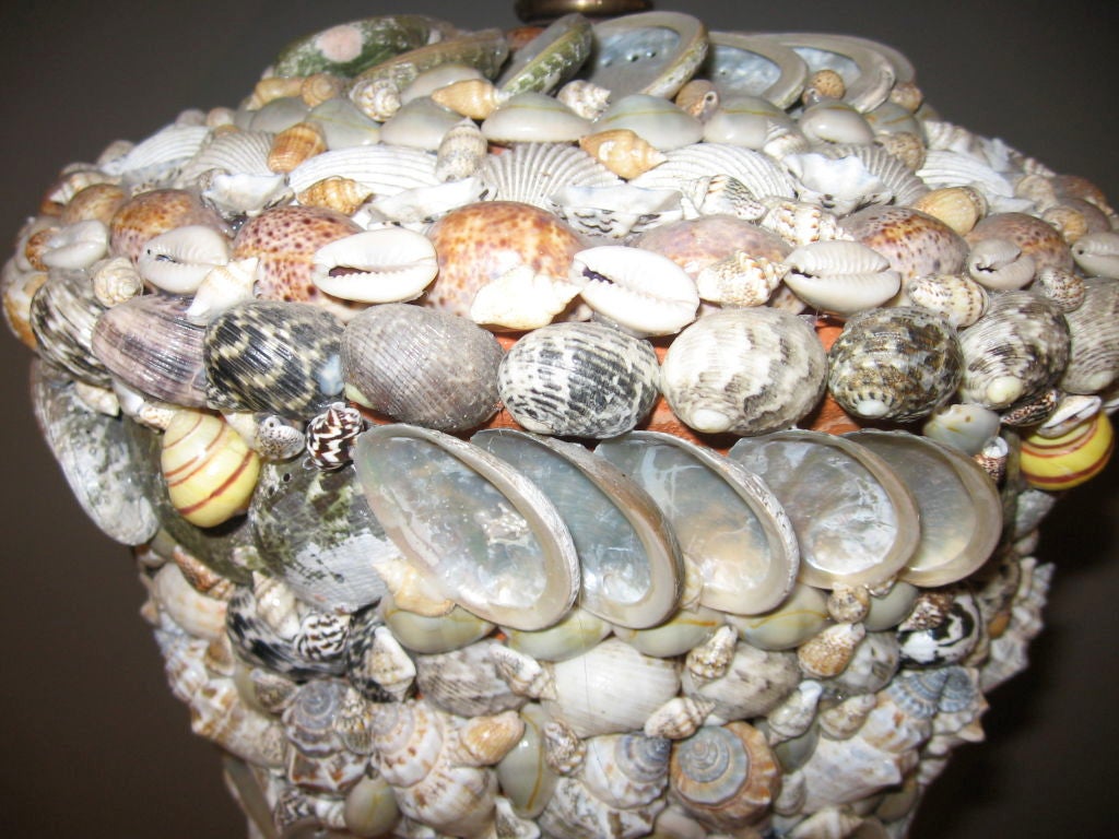 Unknown SHELL ENCRUSTED LAMP