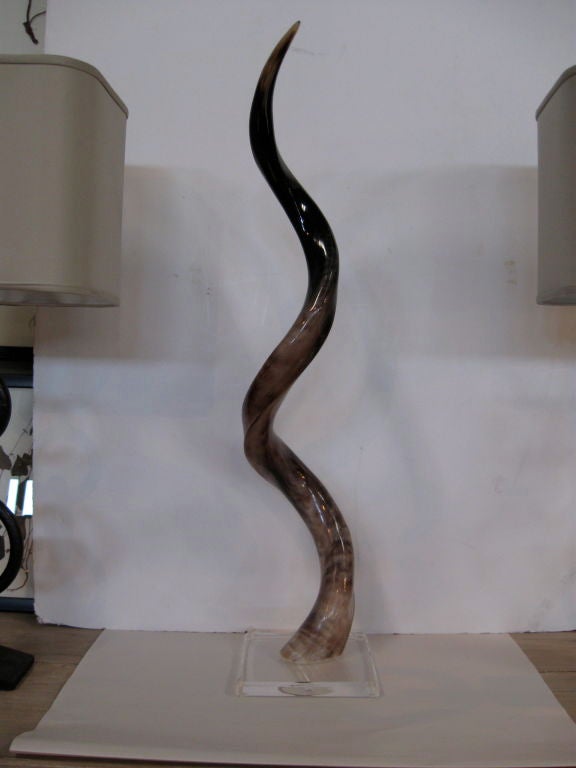 Pair of polished Kudu horns mounted on lucite bases.