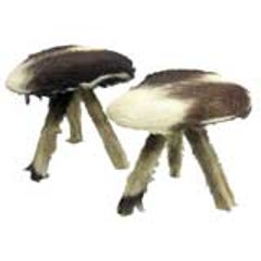 Pair of French Mid-Century Stools in Goat Skin 12