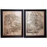 Antique 18th Century Skeleton Etchings by Jan Wandelaar