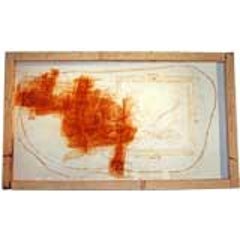 Pietro Calabrese Organic Painting 2