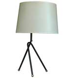 Iron and Brass Tripod Table Lamp