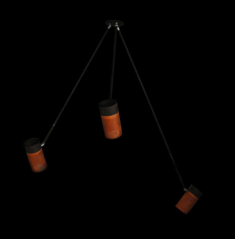 Boris Lacroix Adjustable Ceiling Light