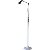 Rare Dazor Floor Lamp