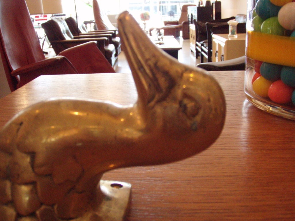 duck coat hooks