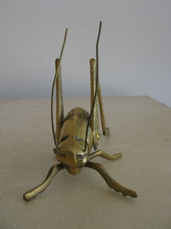 American Solid Brass Cricket