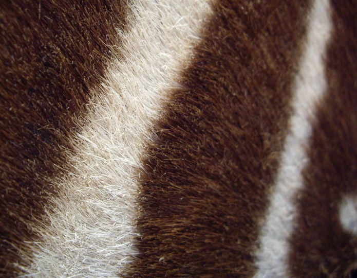 Large Beveled Mirror with Zebra Hide