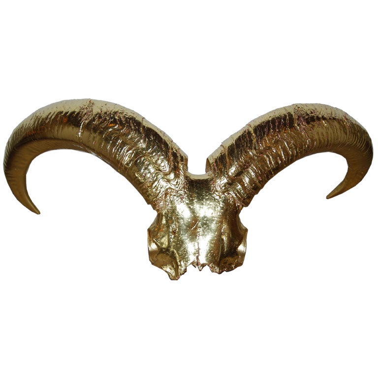 22Kt Gold Leafed Ram Skull For Sale