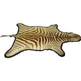 Zebra Hide Rug