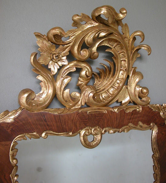 A curvaceous Danish rococo style burl walnut and carved giltwood mirror with exuberant rocaille carving; with lively openwork rocaille carving crest and base the rectangular plate within a well-figured burl walnut frame outlined with foliate carving.