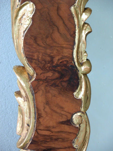 19th Century Curvaceous Danish Rococo Style Burl Walnut and Carved Giltwood Mirror