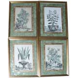 Set of Four Framed Botanical Engravings