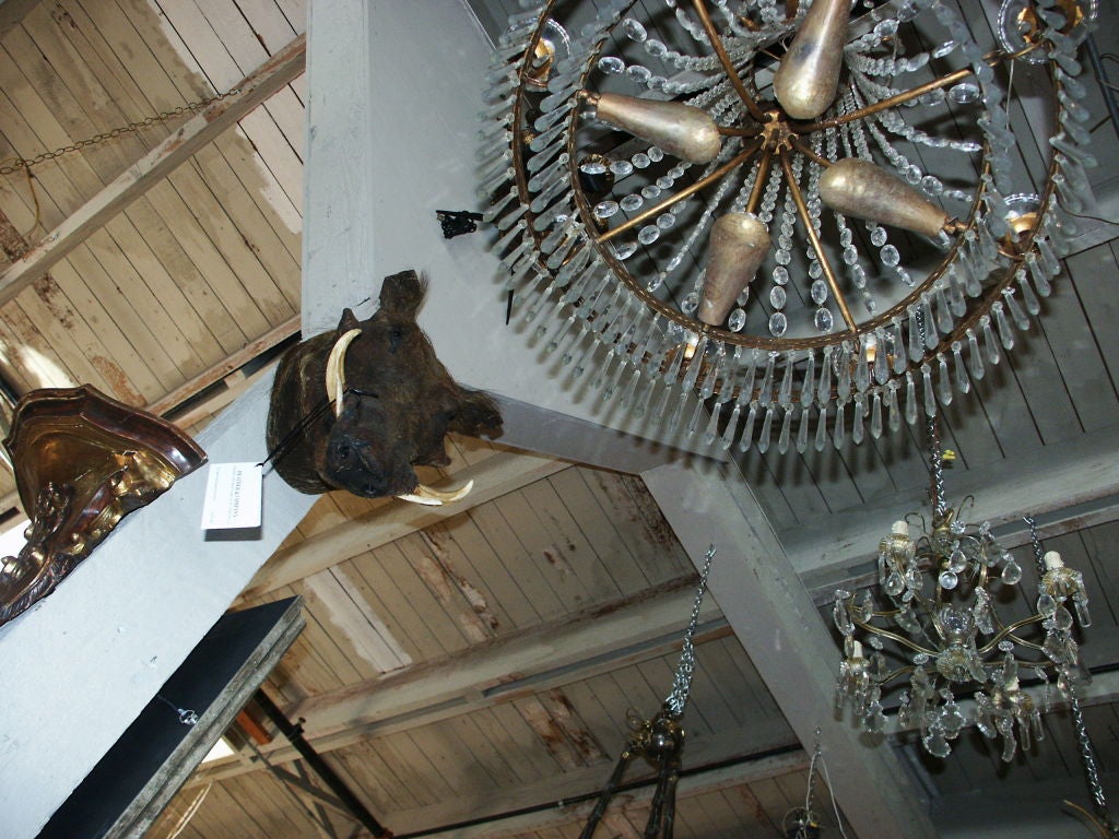 Italian Tole and Crystal Neoclassical Chandelier