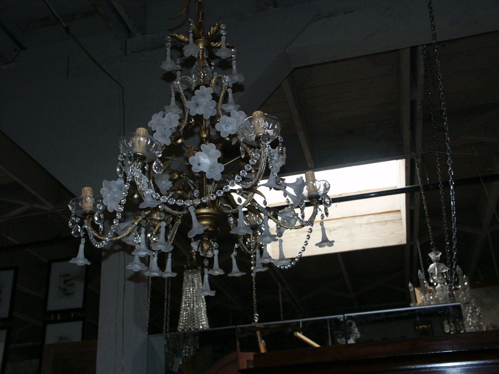 Blown Glass Floral Chandelier with Gilt Metal body