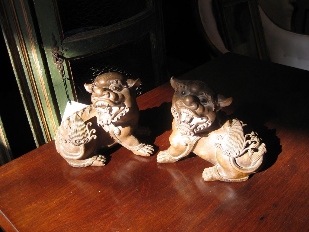 Pair of Asian Foo Dogs