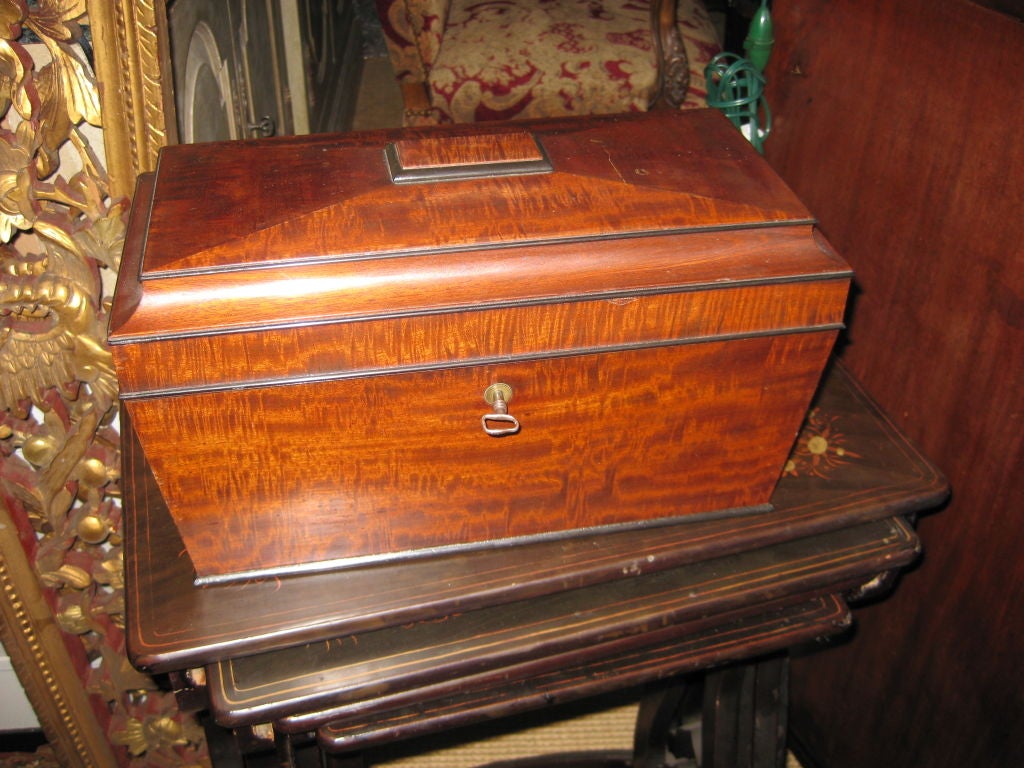 Mahogany Tea Caddy