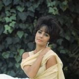 Elizabeth Taylor Portrait by Mark Shaw #1