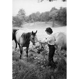 Jackie Kennedy, Virginia, 1959 #1, photo by Mark Shaw