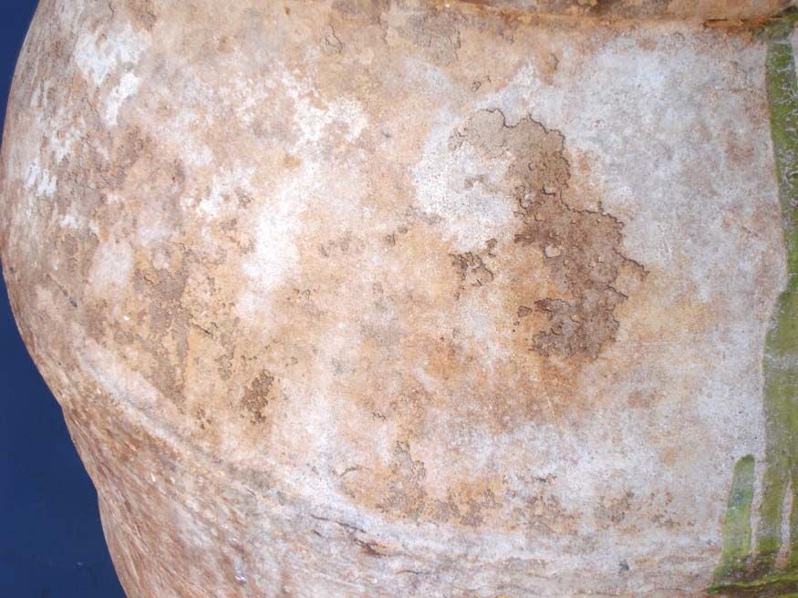 honey pot in spanish
