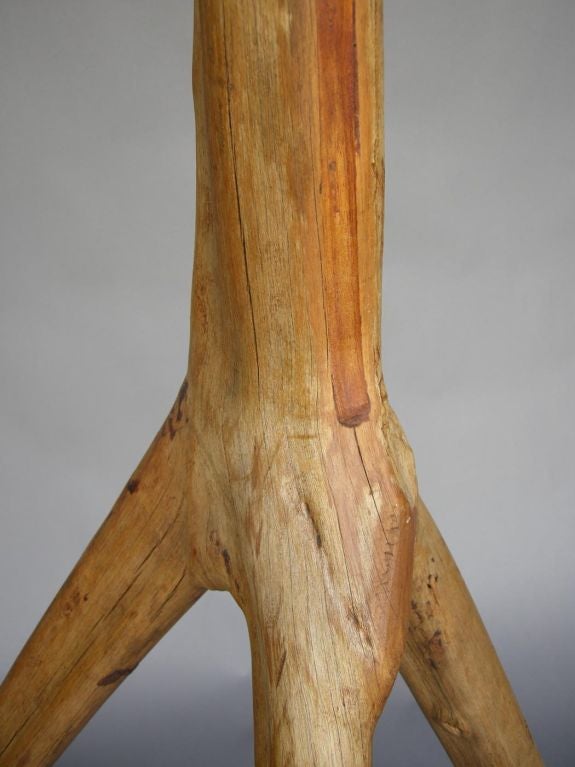 Large Scale Mangrove Floor Lamp