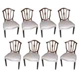 Set 8 Dining Chairs in The Hepplewhite Manner